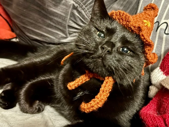 Handcrafted pet accessory